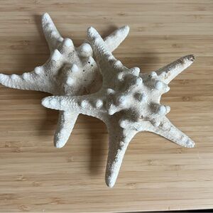 White Starfish Decor Organic and Natural White Set of 2
